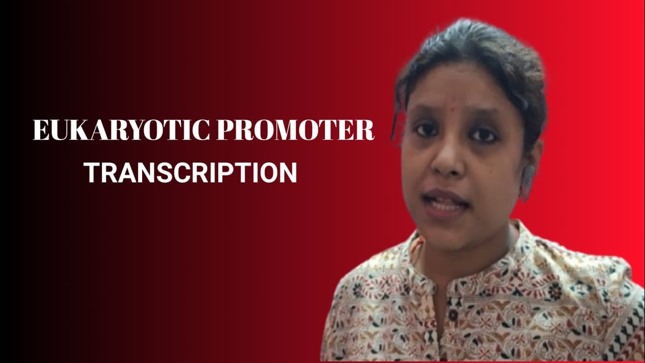 EUKARYOTIC PROMOTER//TRANSCRIPTION