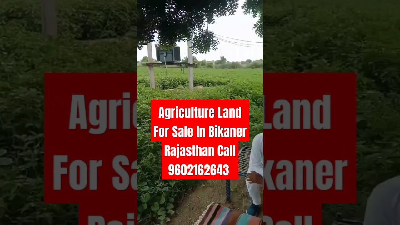 Agriculture Land For Sale In Bikaner Rajasthan #shorts #viral #trending #viralvideo #viralshorts
