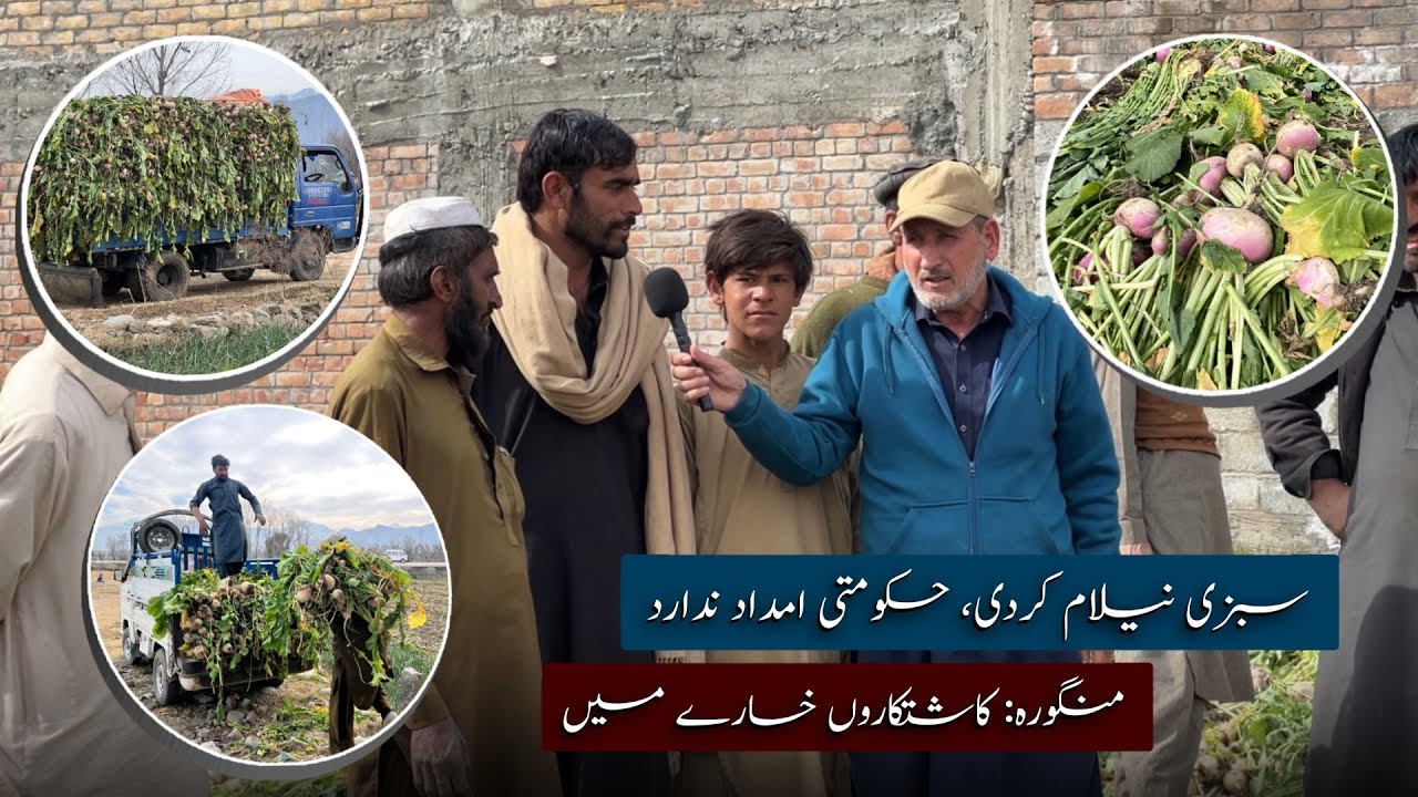 Farmers suffer losses as vegetables are auctioned off; no govt help available | Khyber Social Tv