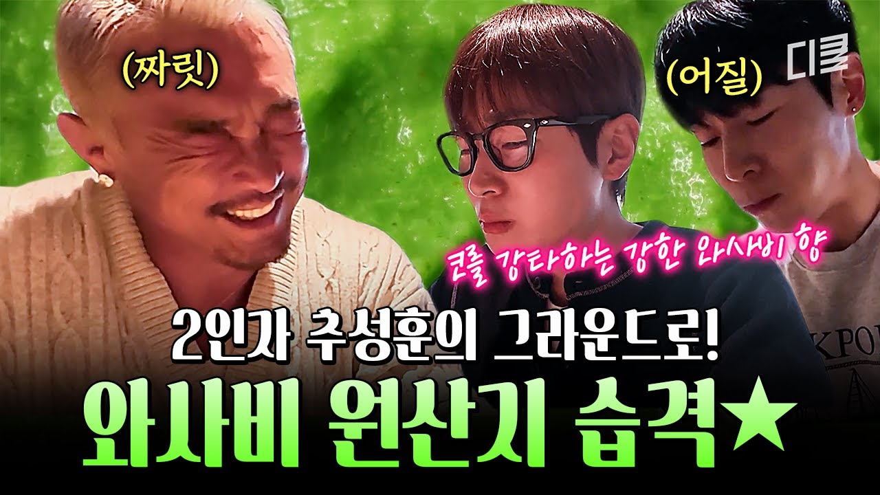 원산지에서 먹는 음식은 더 맛있을까?🔍 추성훈이 소개하는 현지 맛 가득한 와사비 맛집💥 #차가네