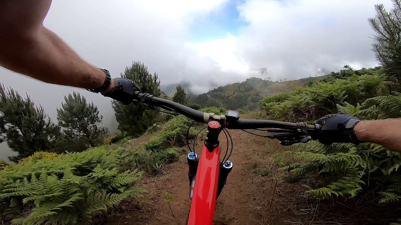 Madeira 2018: Buxo