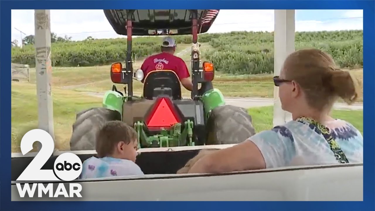 Heat wave takes toll on Carroll County farmers