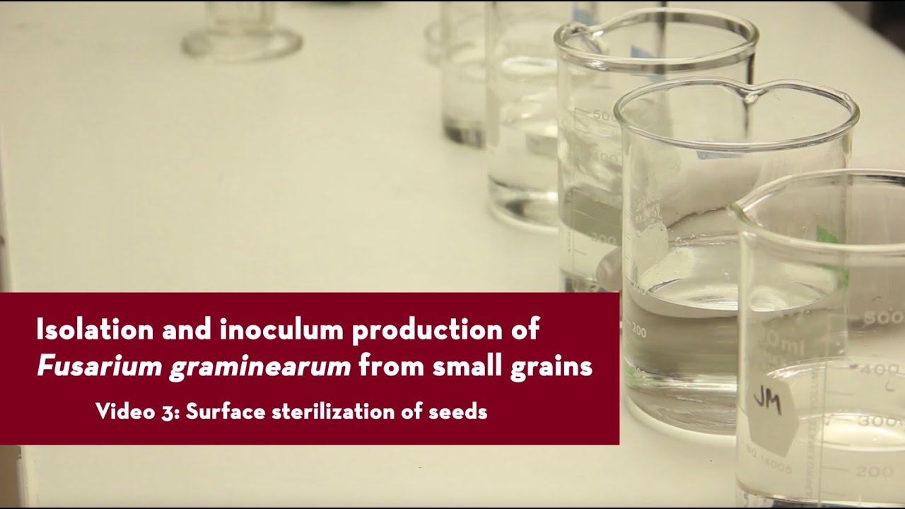 Surface Sterilization