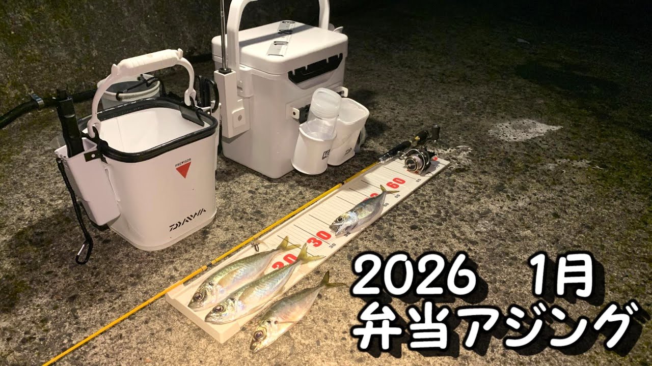 アジング　新ポイント巡り　高台にて良型ゲット