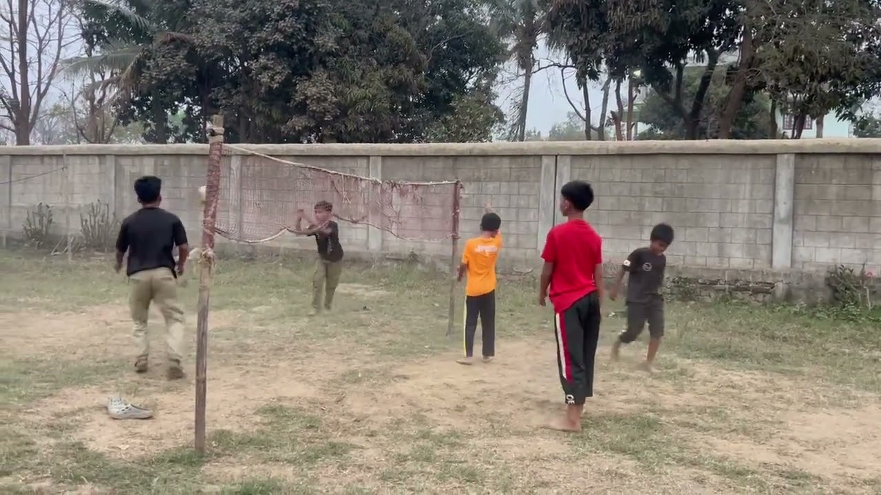 Acorn Home Volleyball
