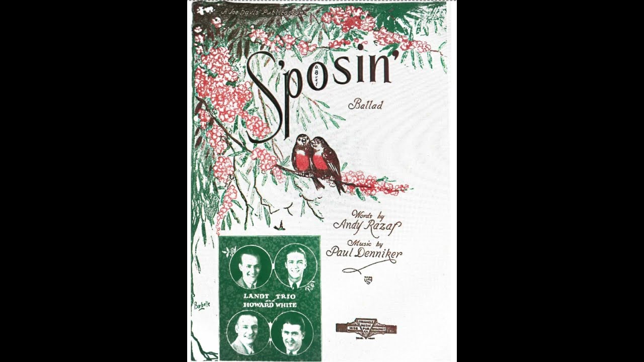 S'posin' (1929)