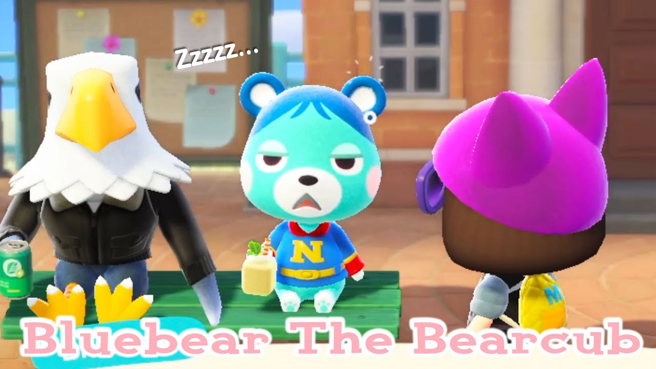 Daytime Sleepiness | Bluebear The Bear Cub - Animal Crossing New Horizons ACNH