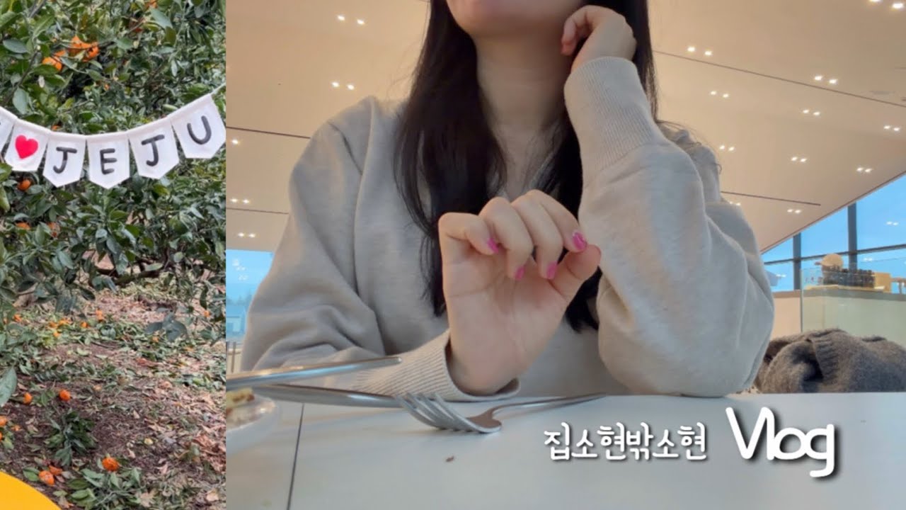 2월 제주 남쪽 기록 🌴 산방산, 귤체험, 유채꽃, 도자기체험까지 가득 담은 브이로그