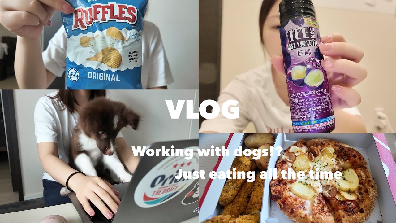 【VLOG】ひたすら食べて生後3ヶ月のボーダーコリーの愛犬と遊ぶ日常