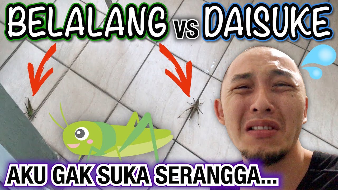 BELALANG BANYAK DATANG KE RUMAH AKU