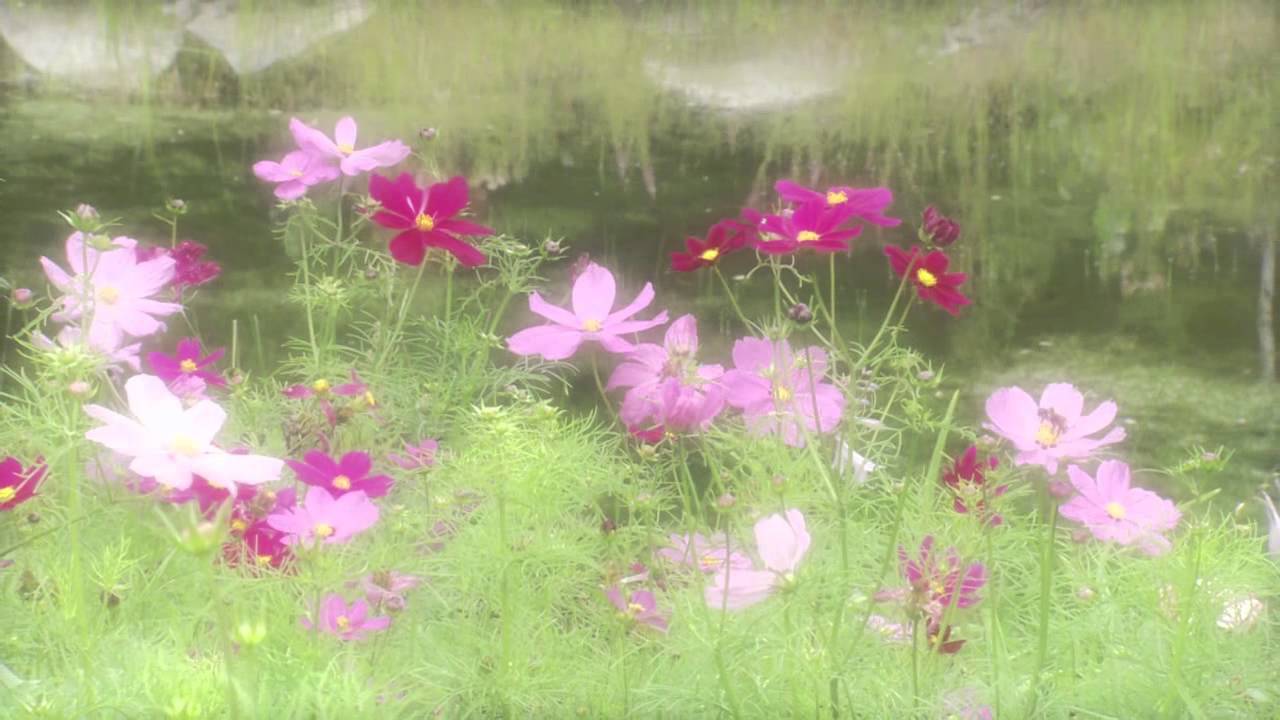 Communication From God Meditation Video