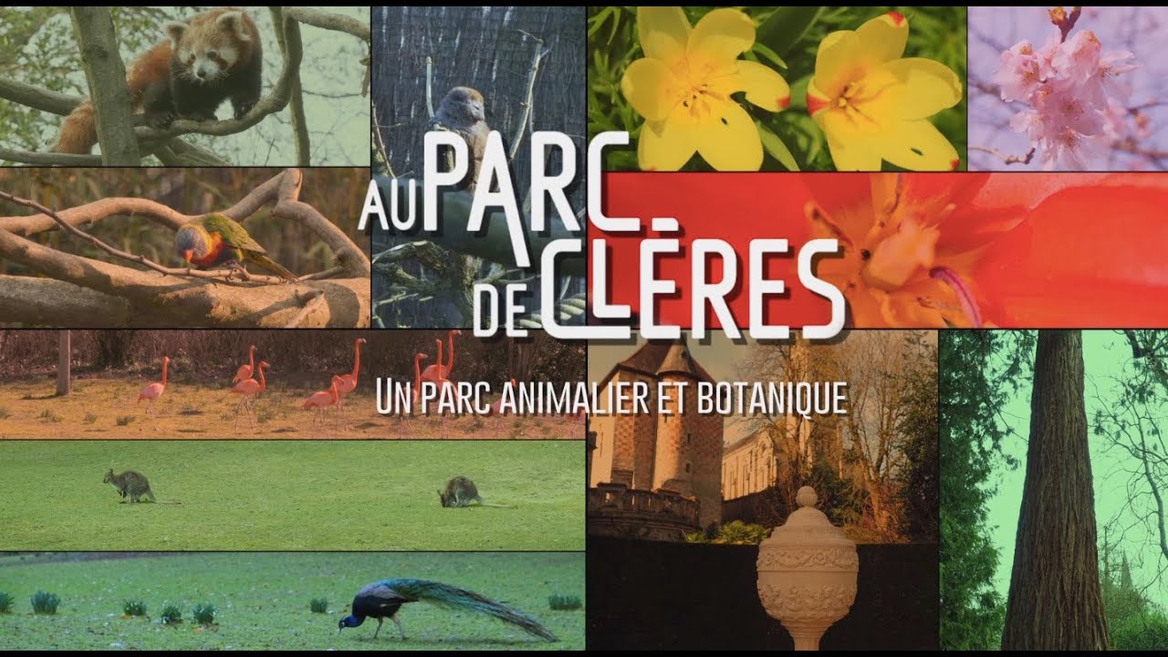 PCP 2023 AU PARC DE CLERES UN PARC ANIMALIER ET BOTANIQUE