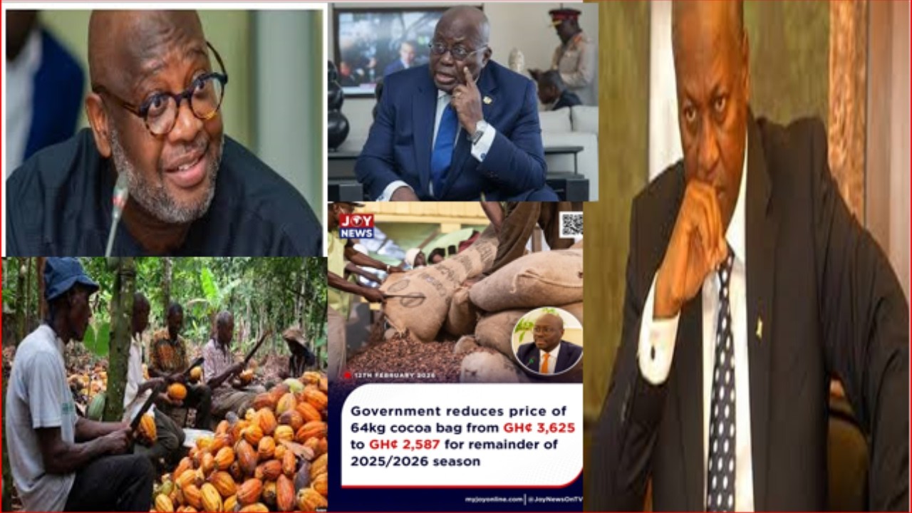 OB Shocks as NDC Reduces Cocoa Price to  GH 2,587....Famers Disappointed.