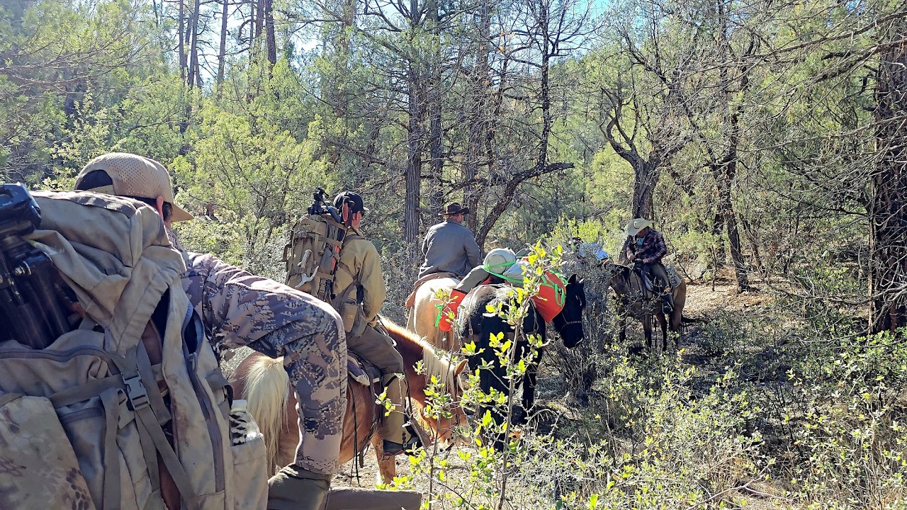 2025 late rifle elk hunt. One More Ridge !
