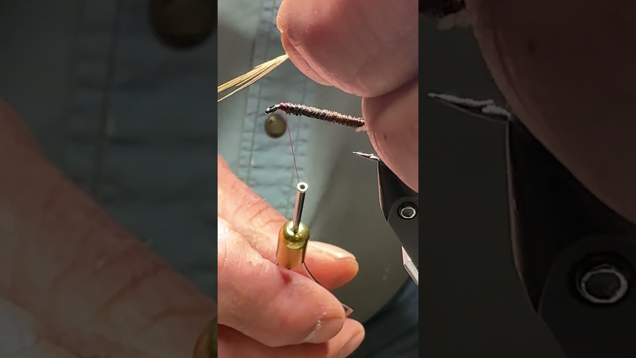 Carey Special fly pattern using only pheasant and wire for materials. 