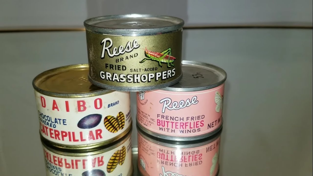 60+ Year Old Edible Insects Vs Microscope