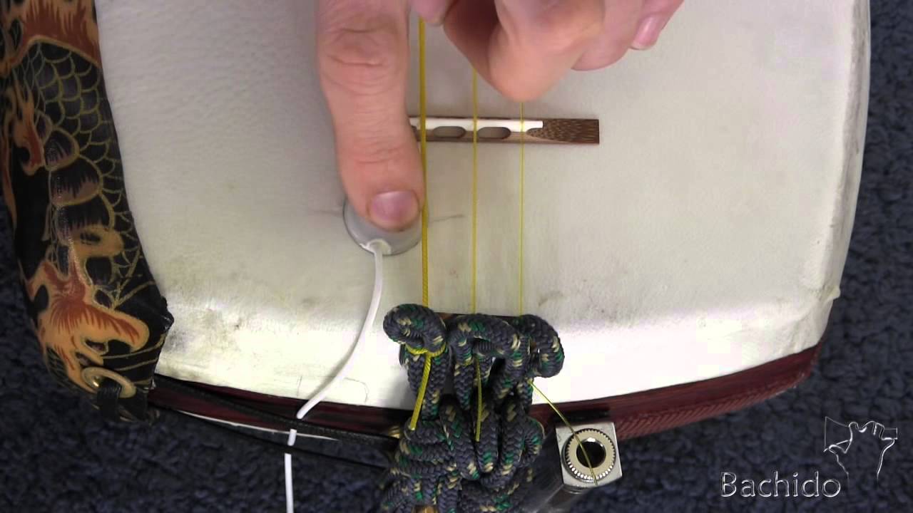 Bachido Store: Shamisen Pickup