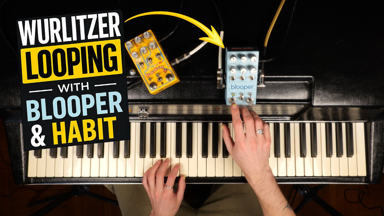 Wurlitzer 200a | Looping w/ Blooper & Habit