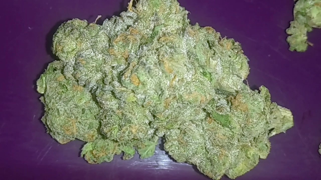 Apples and Bananas Berners Fresh New Drop by Cookies #cookieswoodlandhills #bernersonhaight