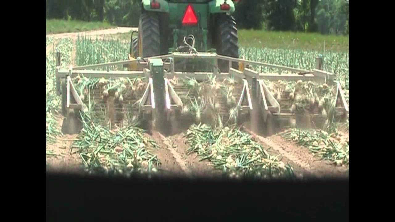 Top Air Onion Digger