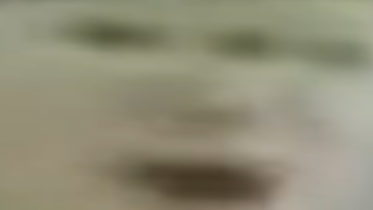 Polkas on 45, but every repeated word loops back