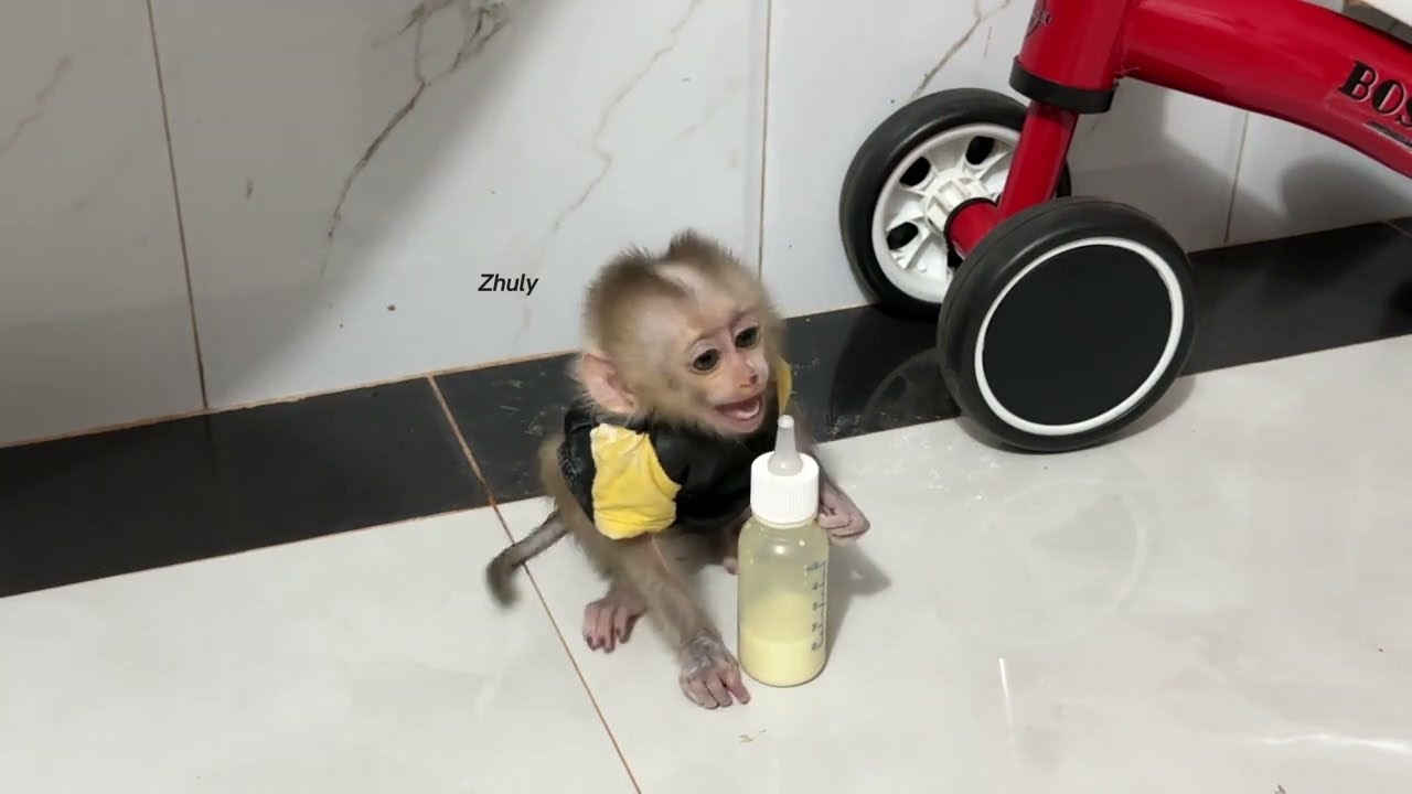 She Can’t Drink Milk By Himself