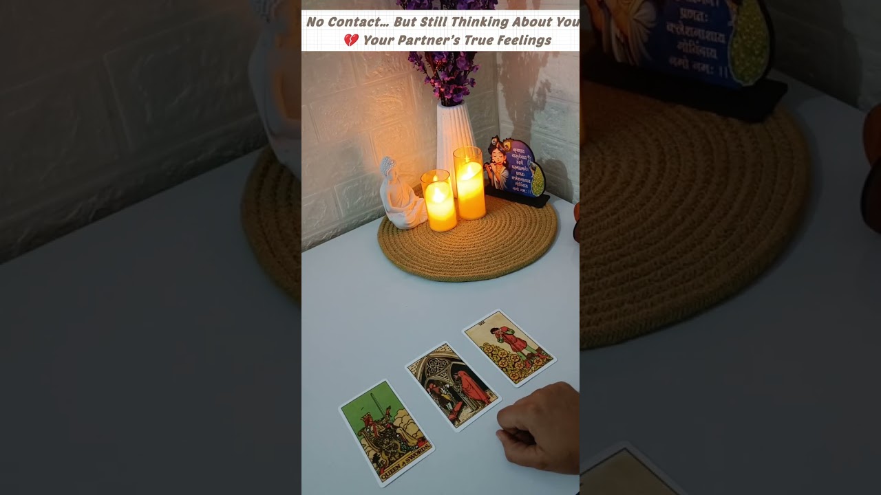 No Contact Relationship #tarot #tarotreading #viral #viralshort #viralvideo #shorts #tranding 