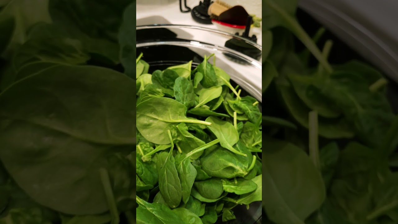Spinach 101 | How to Wash and Store 🌱 #youtubeshort