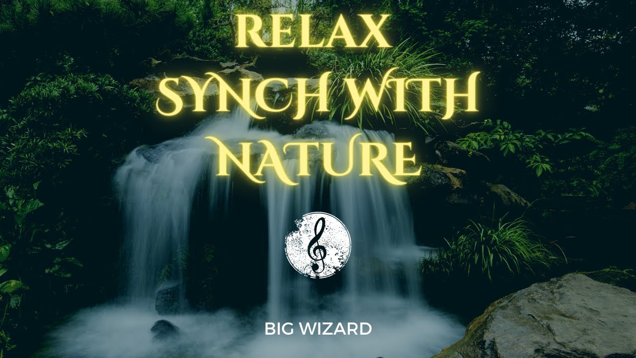 || RELAX - SYNCH WITH NATURE || BIG WIZARD 