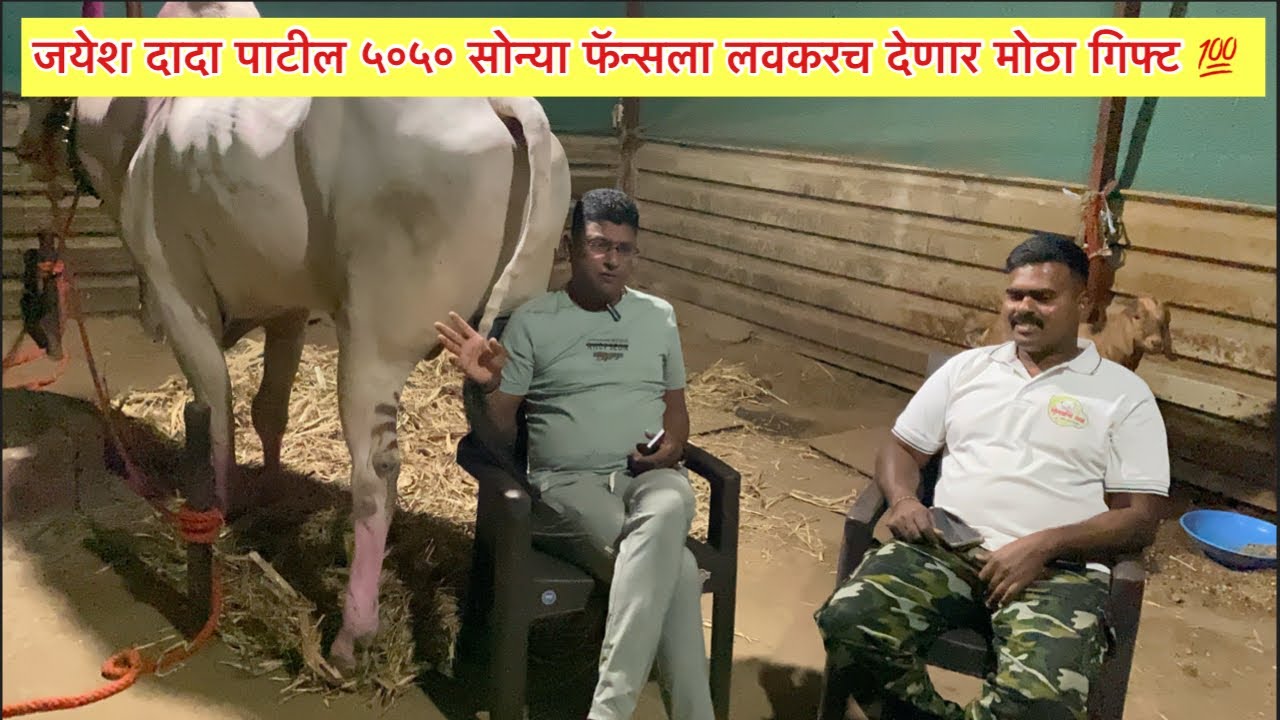 जयेश दादा पाटील ५०५० सोन्या फॅन्सला लवकरच देणार मोठा गिफ्ट 💯 