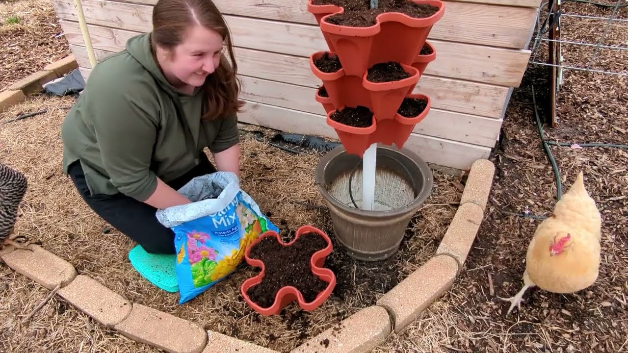 Setting up and planting my Mr. Stacky!