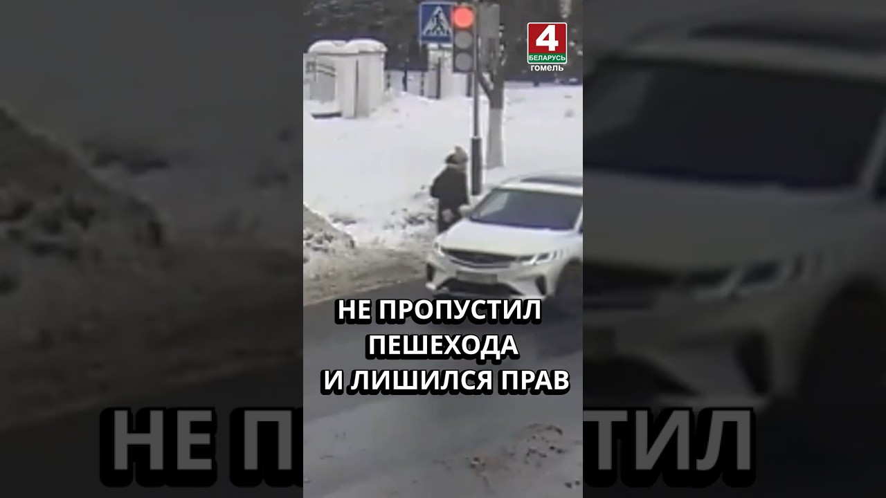 НЕ ПРОПУСТИЛ ПЕШЕХОДА И ЛИШИЛСЯ ПРАВ #гомель #новости #беларусь