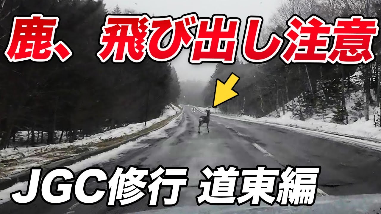 【JGC修行・道東編】レンタカーを借りて1日観光すると…良い経験が出来ました！