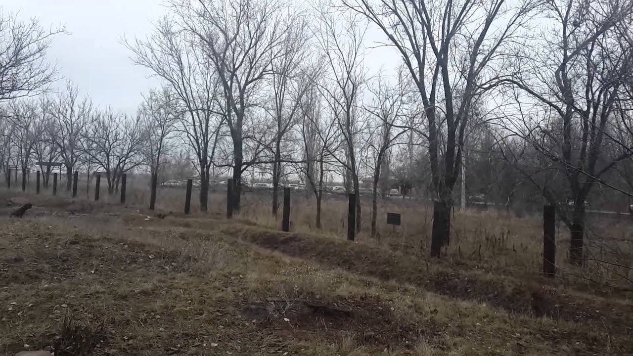 20141222 100848