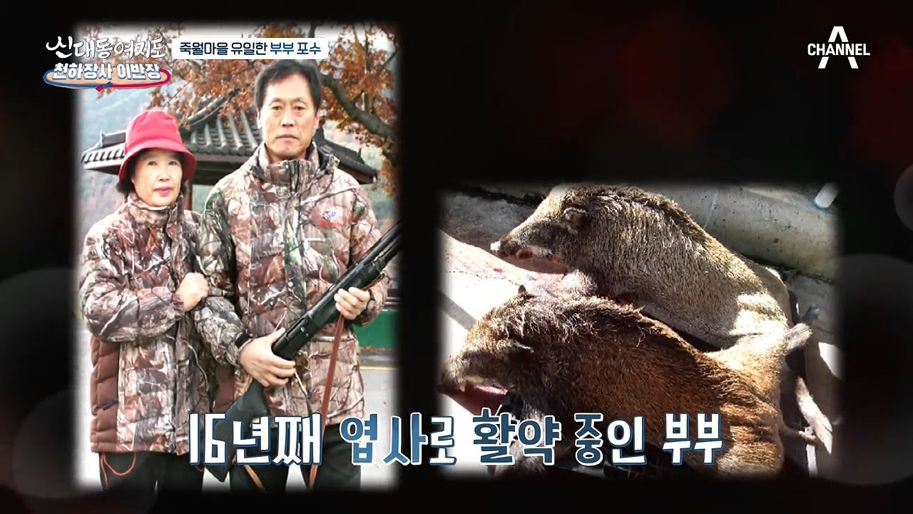 개성 넘치는 죽월마을! 엽총으로 멧돼지 잡는 포수 부부가 있다?! | 신대동여지도  356 회