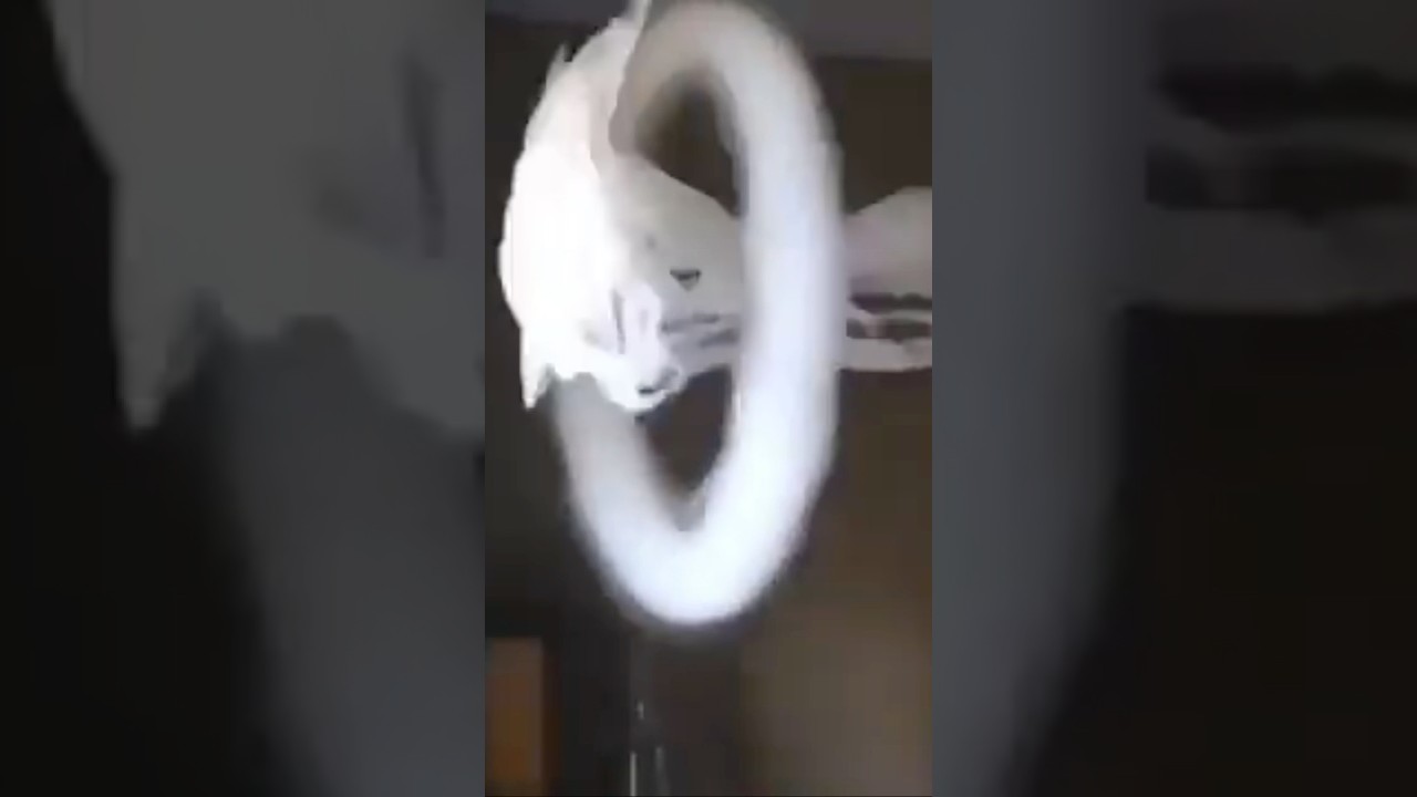 Vape trick hukka bar song