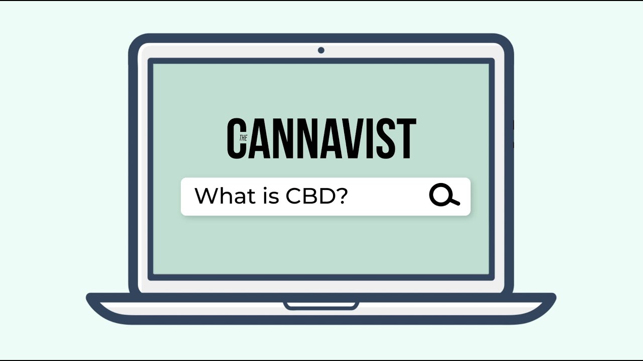 The CANNAVIST: CBD 101