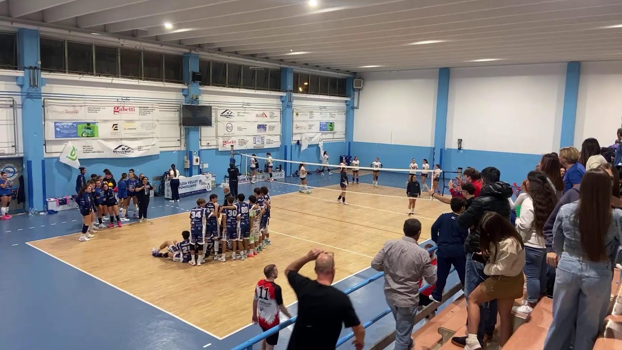 serie d elisavolley  -cusano