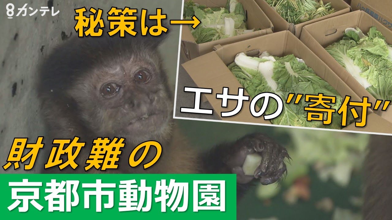 財政難…京都市動物園の節約法「エサは寄付で」 　漬物店から造園業者まで…地域で広がる寄付の輪【報道ランナー】