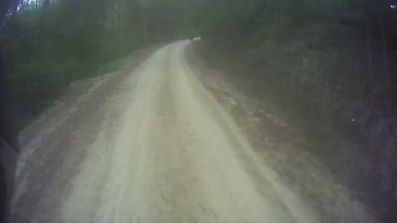 ( KLR, KTM, YAMAHA ) ride though the forestry 
