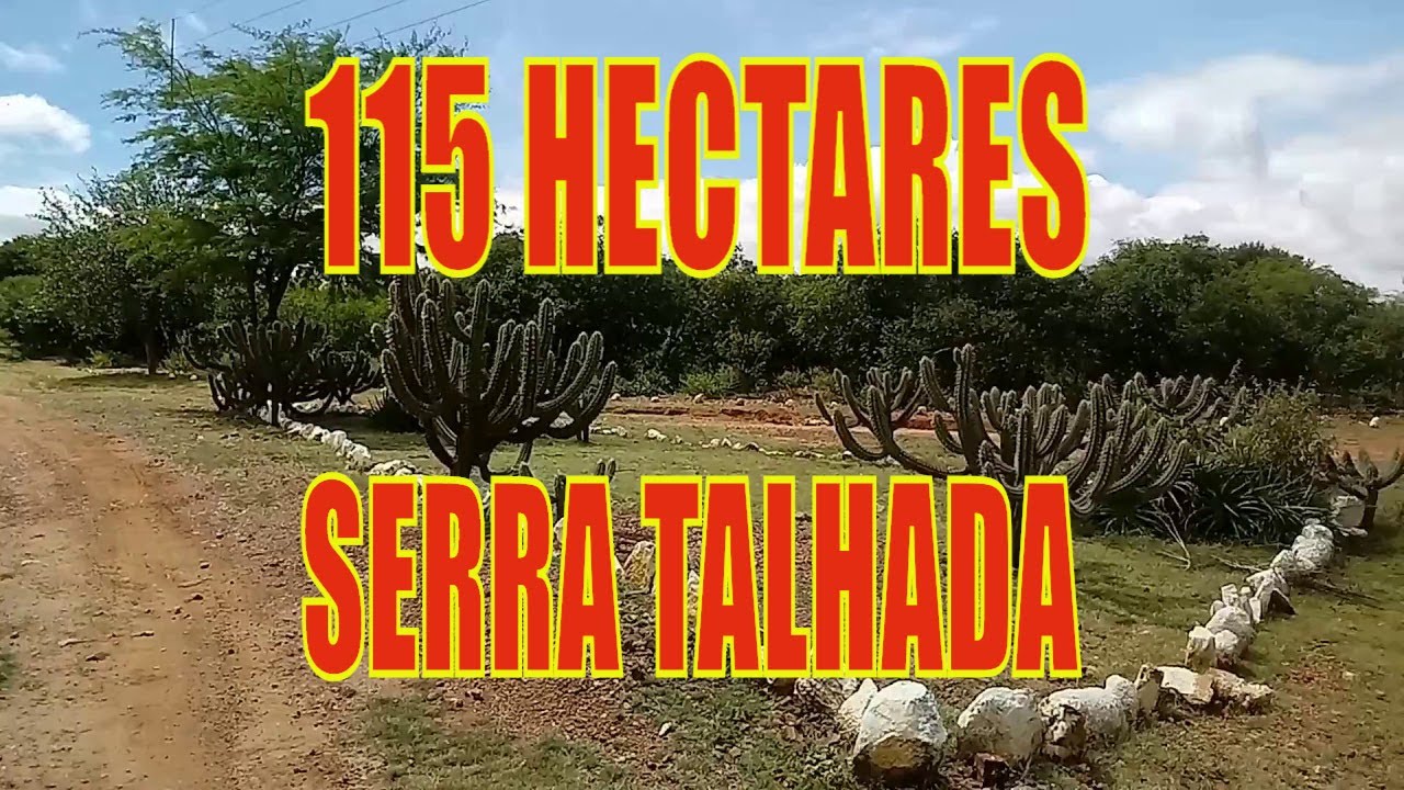 R$ 250 MIL 115 HECTARES DE TERRAS EM SERRA TALHADA PARA VENDA OU ARRENDAR