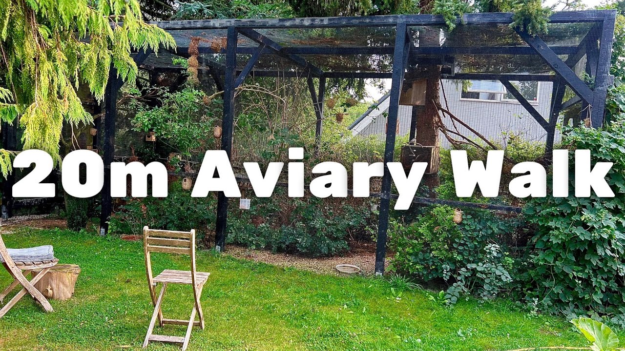 My BIG Aviary! Full Tour + Setup Info | 20m Outdoor Aviary for Finches & Softbills
