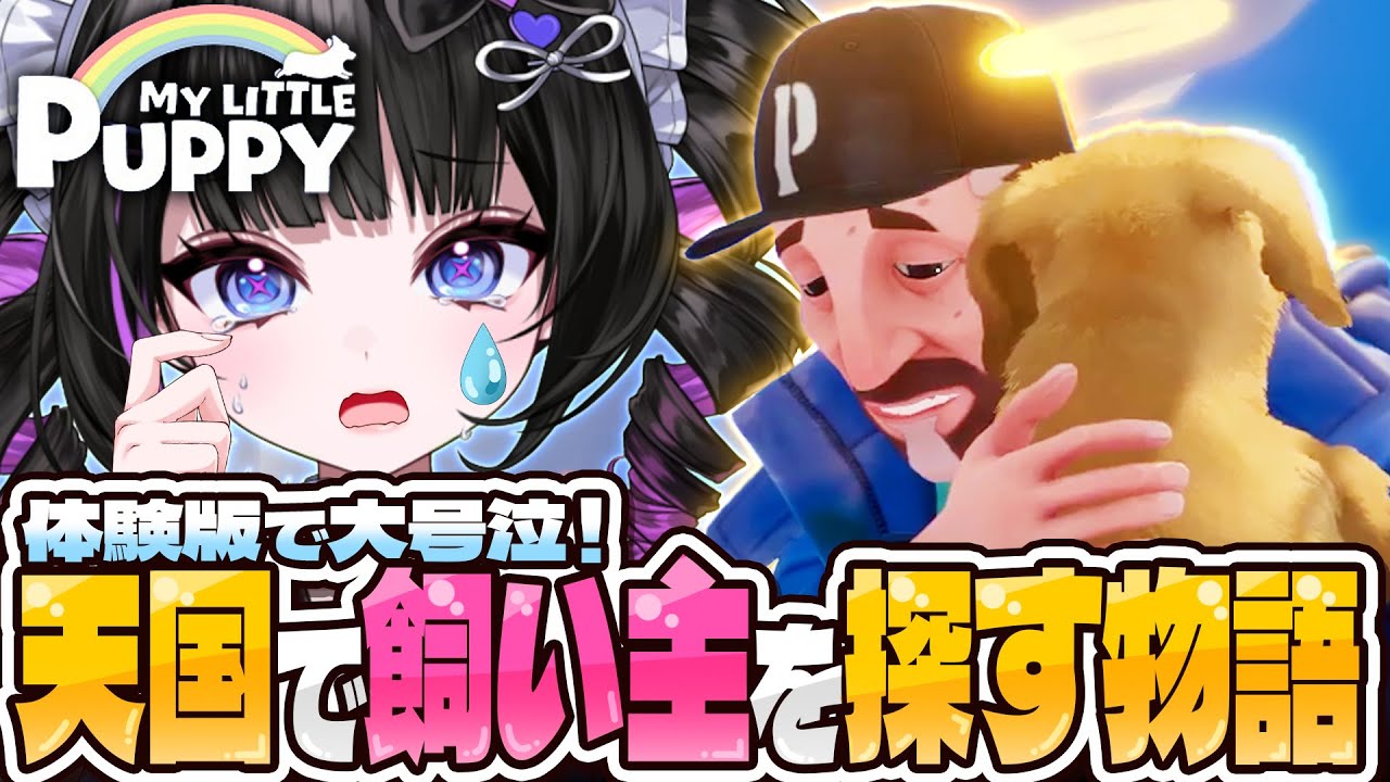 必ず泣く⁉️天国でワンコが飼い主を探す物語🐶【My Little Puppy / マイリトルパピー】