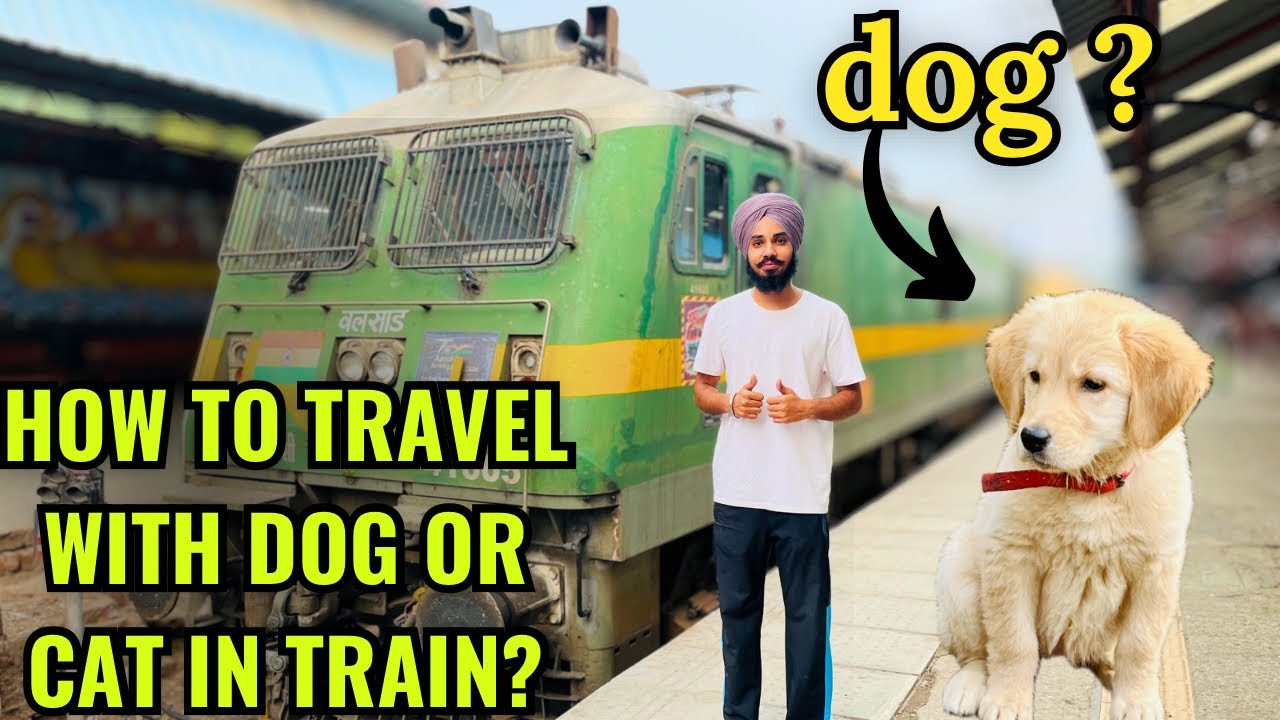 How to Travel with Dog or Cat in Indian Train? | Full Guide for Pet Owners 🚆🐶
