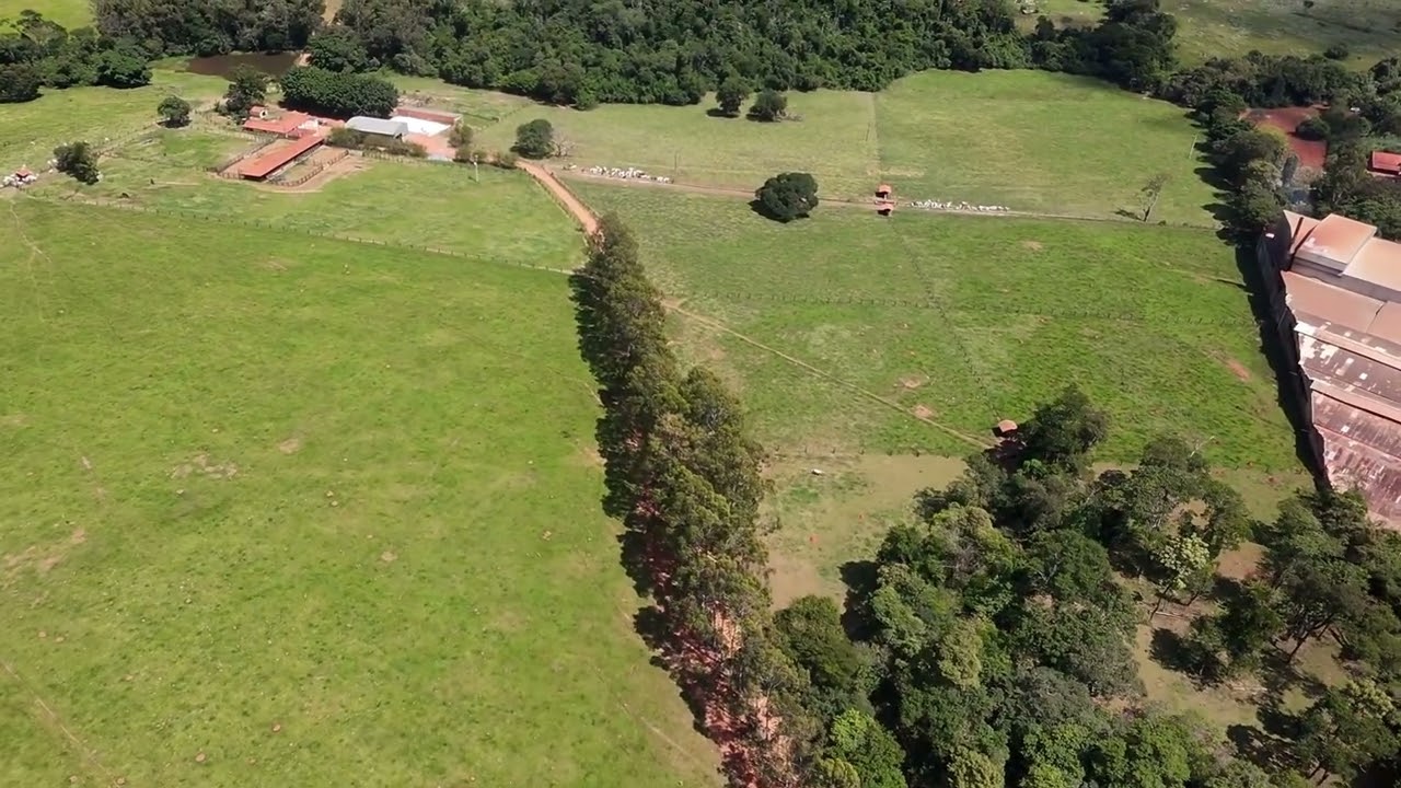 VMC área a ser leiloada