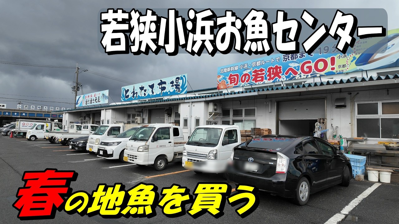 【若狭小浜お魚センター】春告魚　若狭小浜うまいもん　とれたて並ぶ　賑わい市場　週末がチャンス　魚の買い方わかります。