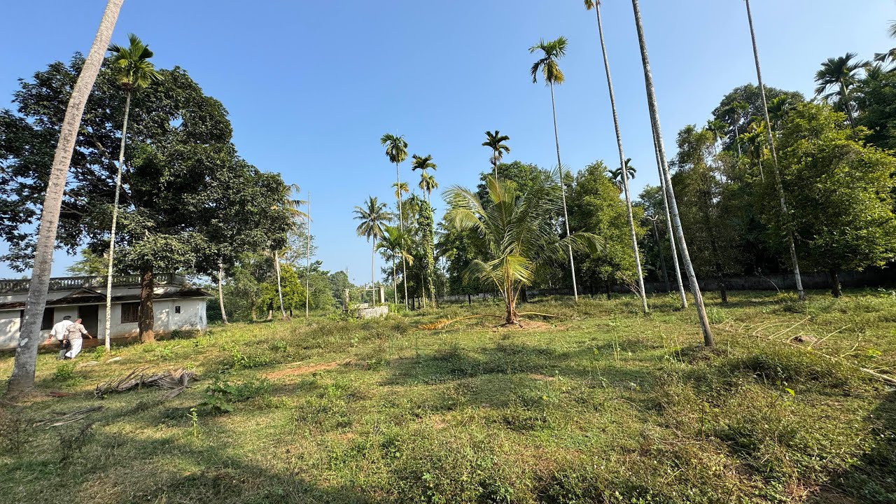 1.50 Acre’s of Purayidam Land for Sale in Chalakudy, Thrissur | Riverside Property