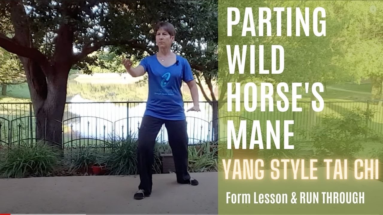 Yang Style Tai Chi: Parting Wild Horse's Mane Form - Lesson 3 of my Comprehensive Tai Chi Tutorials