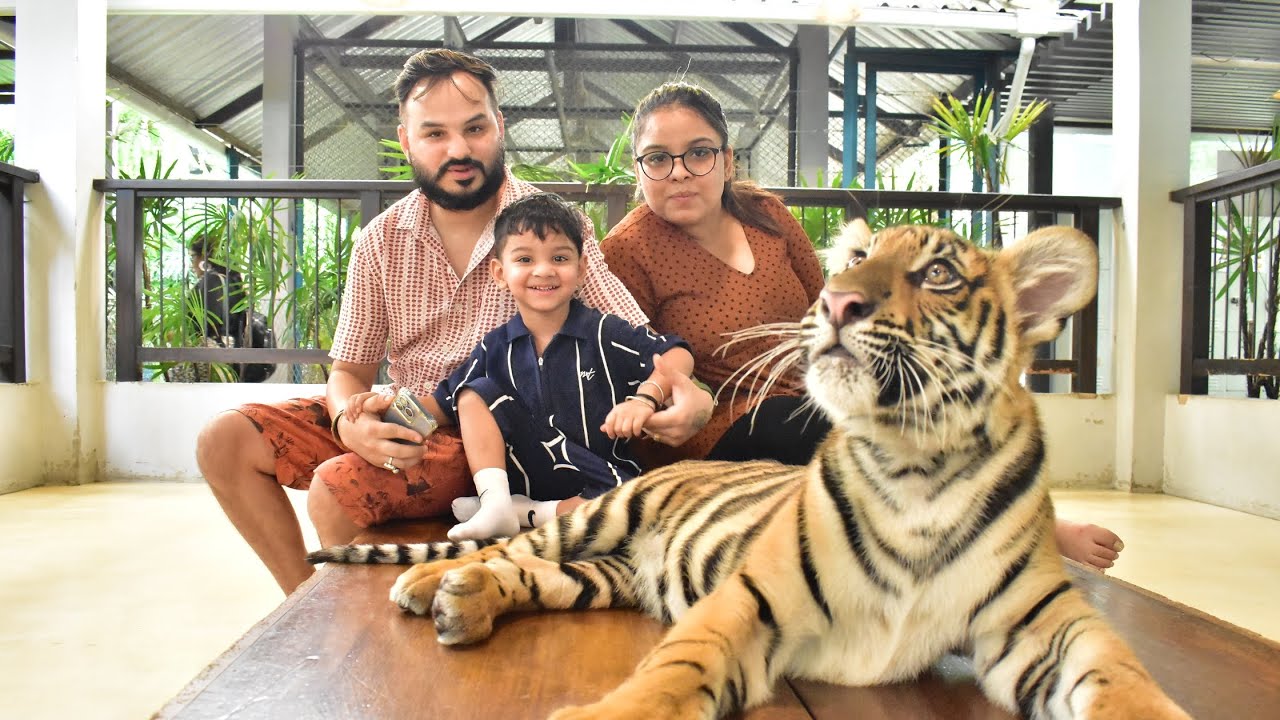 Aaj hum mile real tiger se #tigerpark #travelvlog #pattaya #thailand #travelvlog #vacationmode