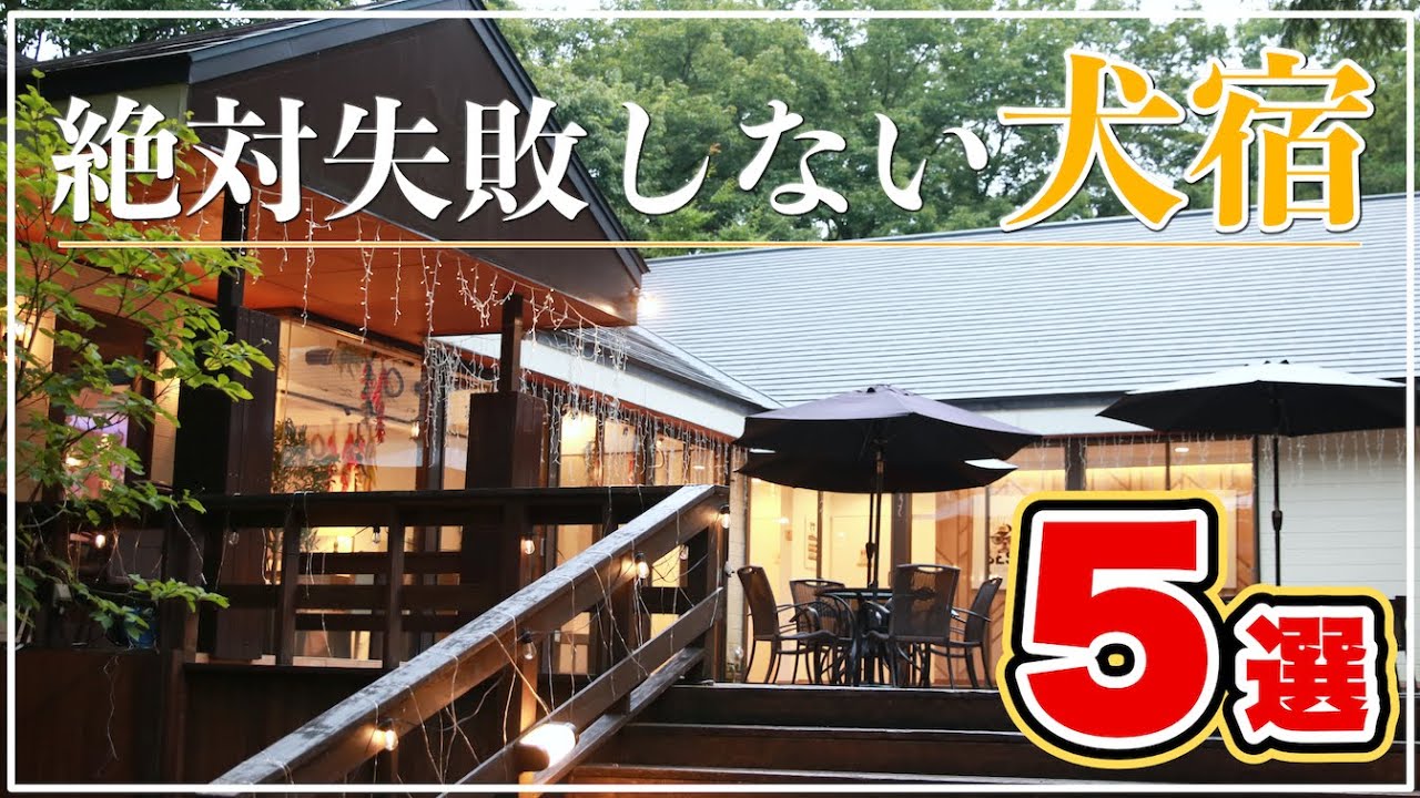 【犬と宿泊&旅行】絶対失敗しない関東近県おすすめホテル・宿５選（ランキング形式）※温泉、部屋、料理等の本音レビュー！静岡／千葉／山梨／栃木／福島（旅する豆柴）